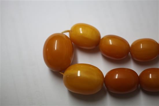 A single strand graduated amber bead necklace, 18in.